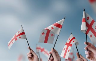 A group of people holding small flags of the Georgia in their hands.